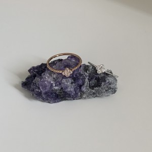 【現貨 】 Clover．純銀戒指